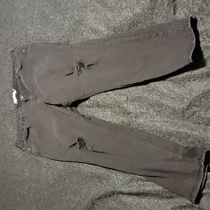 Torrid Denim jeans womens size 20R